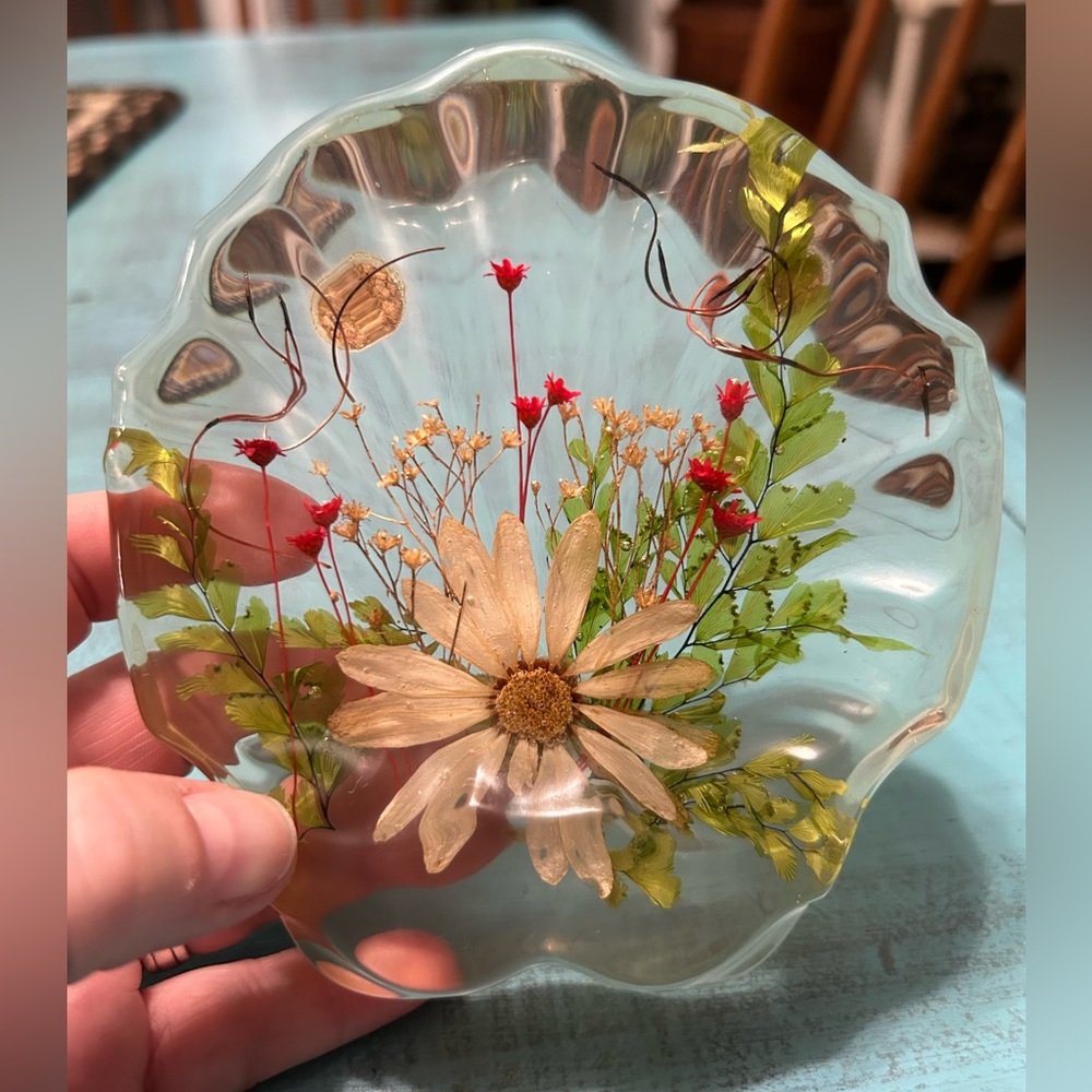 Vintage Lucite Clear Seashell dish with Dried/pressed Flowers - home decor